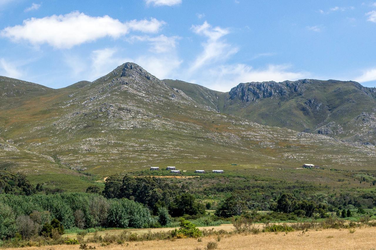 Phillipskop Mountain Reserve Stanford Exteriör bild