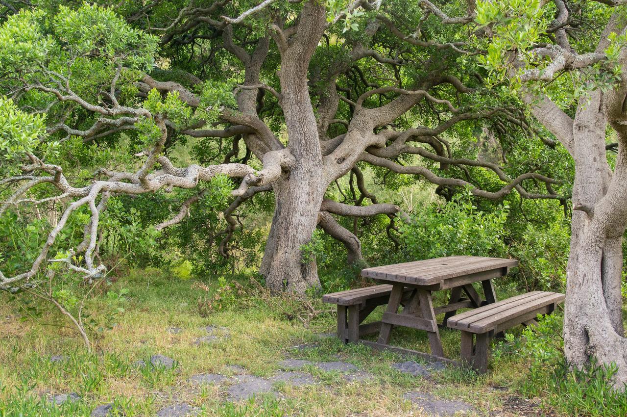 Phillipskop Mountain Reserve Stanford Exteriör bild